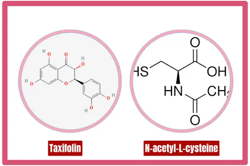 Sử dụng sản phẩm chứa bộ đôi Taxifolin và N-Acetyl-L-Cysteine là một cách hỗ trợ điều trị buồng trứng đa nang an toàn, hiệu quả